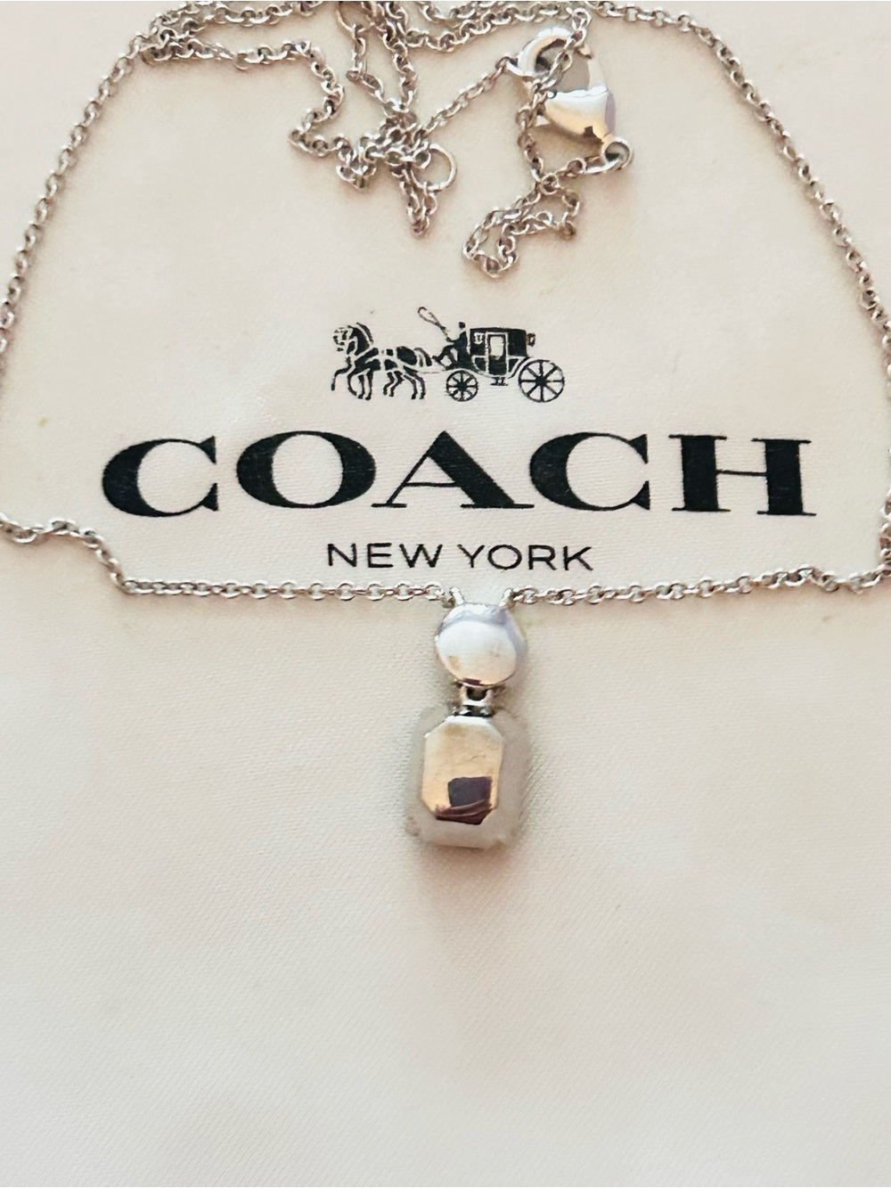 Coach Smoky Gray Stone Charm Necklace - Picture 7 of 14